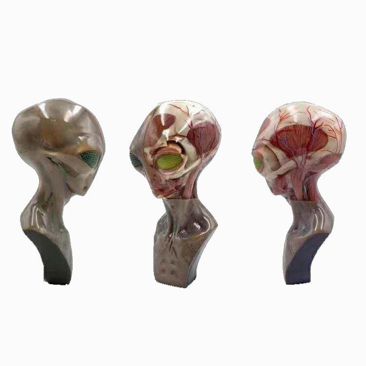 Servicio de impresión 3D multicolor de alta resolución con proceso SLM