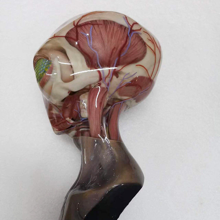 Servicio de impresión 3D multicolor de plástico RESIN Superficie de recubrimiento integrada