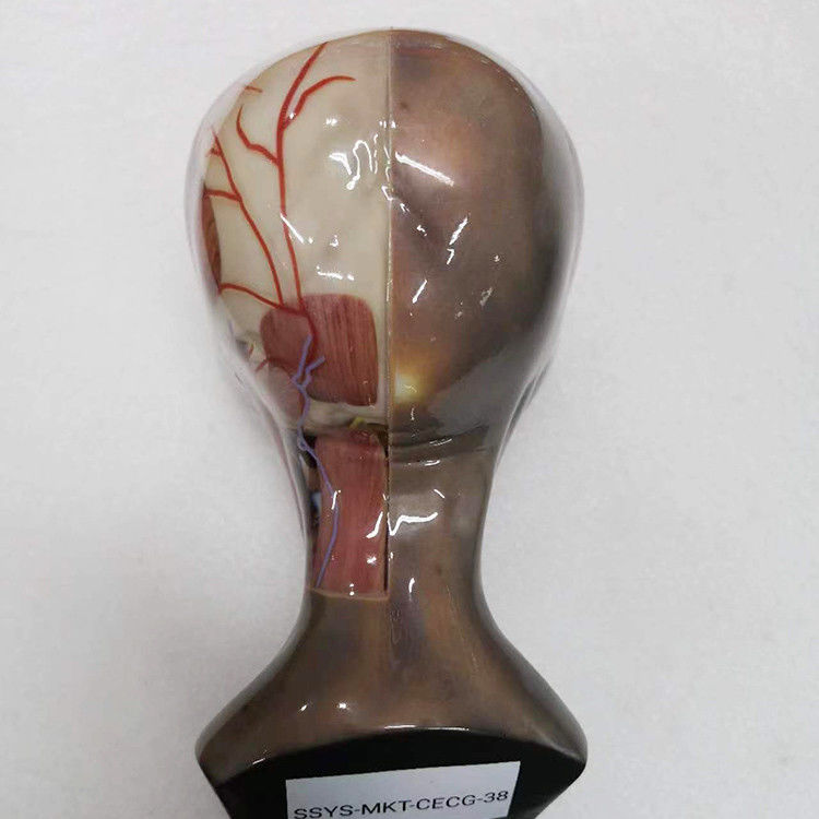 Servicio de impresión 3D multicolor de plástico RESIN Superficie de recubrimiento integrada